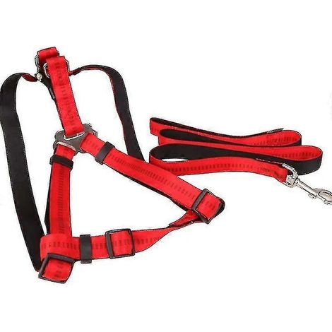 Code de dressage de chien anti-remorquage SL S Rouge Shisanq (1/5)