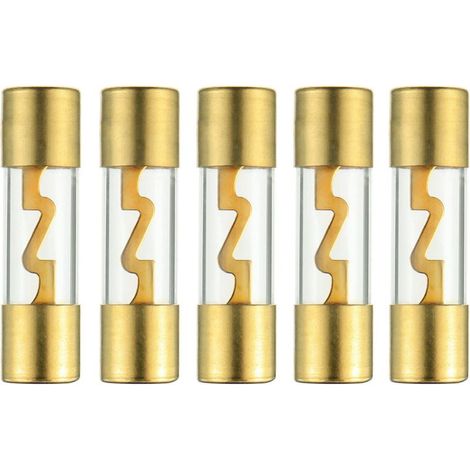 Fusible AGU - 60 A - 10 x 38 mm - Pour Amplificateur Audio Automobile et Marine - Lot de 5 (1/5)