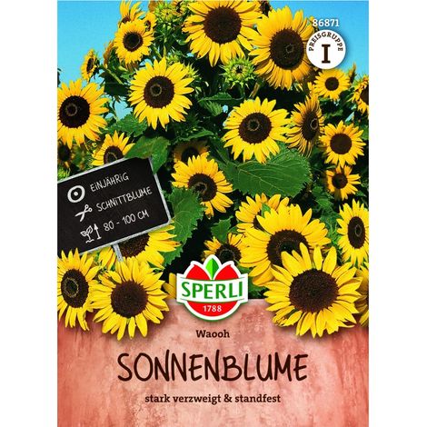 Sperli – Tournesol 'Waooh' (Helianthus annuus) – Graines, 1 portion (1/3)