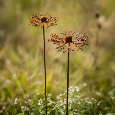 Set aus 2 natürlichen, rostigen Rankgittern – wetterfeste Gartendekoration als Blumenstecker, Rostdekoration für Frühling und Garten, wetterfestes Metallrankgitter (1/5)