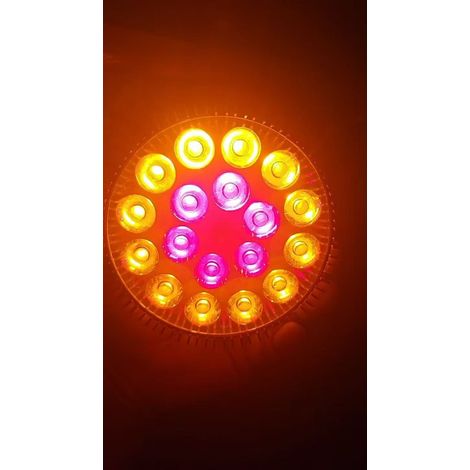 LED-Wachstumslampe 54 W für Zimmerpflanzen, Bonsai, Bougainvillea und Sukkulenten – Vollspektrum-Gelblicht, ideal für Blüte und Photosynthese