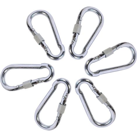 Mousqueton en Acier Inoxydable,6 Pièces 8 cm avec Verrouillage à Vis Capacité de Charge de 200 kg Porte-clés pour Pêche Camping Randonnée Ski Vélo (1/5)