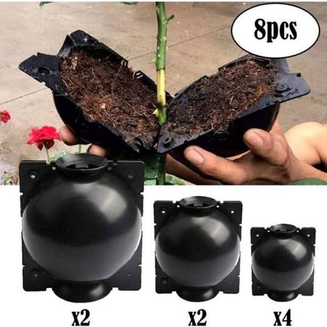 Boîte de propagation de plantes réutilisable, 3 tailles, 8 balles pour croissance racinaire (1/4)