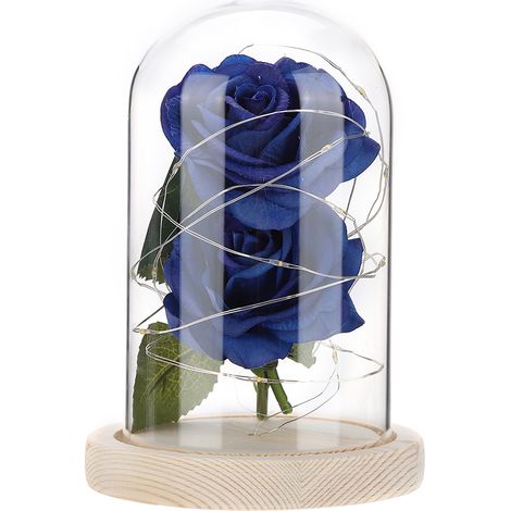 Lampe De Nuit Sous Dôme En Verre - Rose Artificielle En Fleurs Séchées - Fil De Cuivre À 20 Led - Décoration Intérieure - 1 Pièce (1/5)
