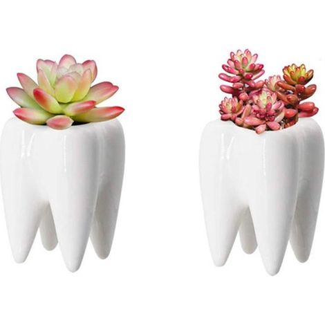 Set di 2 vasi da fiori in ceramica bianca per piante grasse e cactus, ideali come accessorio da scrivania e decorazione d'atmosfera per la casa o l'ufficio. (1/5)