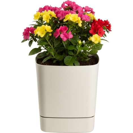 CUBI recycelter beigefarbener Blumentopf mit Untersetzer, 19 x 19 cm