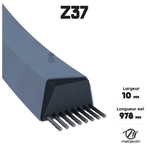 Courroie tondeuse Z37 trapézoïdale  10 x 978 mm (1/4)