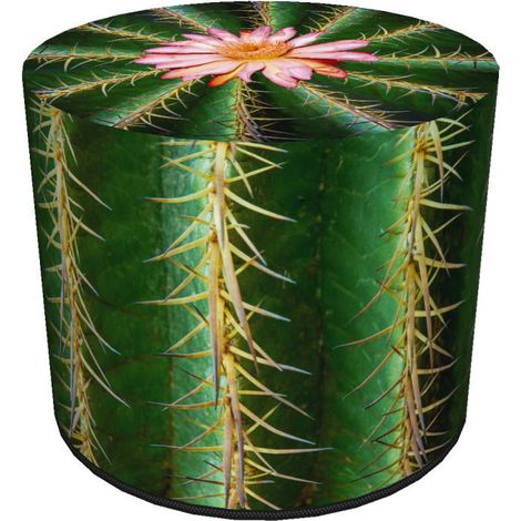 Pouf decorativo Bertoni, stampa cactus - pouf rotondo per soggiorno, ingresso, cilindro 40 cm, elegante, cerniera, lavabile (1/5)
