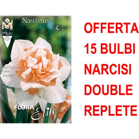 OFFERTA 15 BULBI NARCISO REPLETE BULBS BULBES