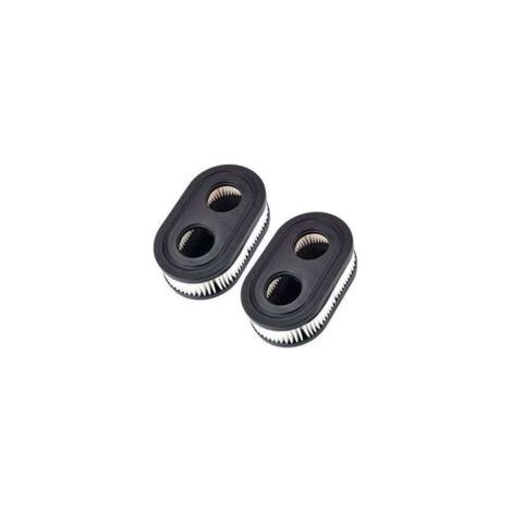Filtri aria per tosaerba Briggs & Stratton 798452 593260 5432 5432K,A - Crezuo