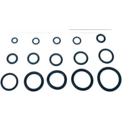 O-RING 13,60X2,70 P/CANNA LAVELLO PZ.100