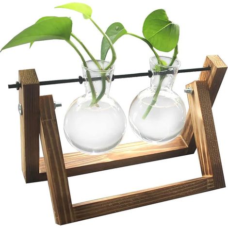 Florero colgante hidropónico, florero de vidrio, florero decorativo, florero de escritorio con base de madera (1/4)