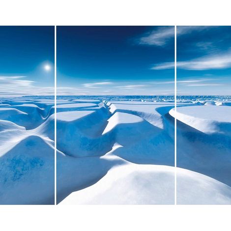 Triptyque sur toile enneigé 125x97 cm - Impression sur Toile Murale Décorative - Image imprimée en HD sur Toile - Toile sur Châssis en Bois FSC - Fabriqué en France (1/5)