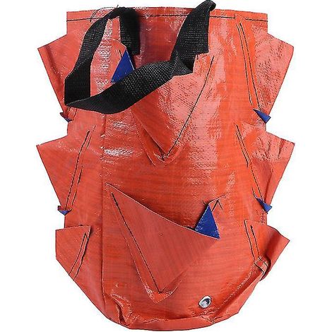 1 sac de suspension murale pour fraisier/poivrier