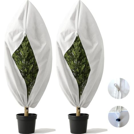 Voile Hivernage Épais 80 g/m² (60x80 cm) – Duo de Housses Anti-Gel à Zip & Cordon pour Olivier et Palmier (1/4)