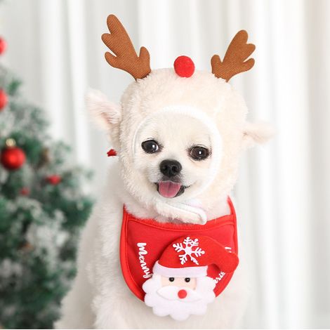 Costume de Noël pour chien, décoration automne-hiver, élégant et mignon, accessoires de costume de Noël pour chatons et chiots, chapeau blanc et bois de renne, taille L (Convient aux chats de 4 à 7,5  (1/5)