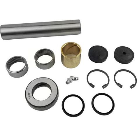 Kit ejes de pivot Renault Midlum 5000613780, 5005097022, 5010308718, 5010308721, 5010439192, 5010566028, 5010630738, 5010630991 (1/4)