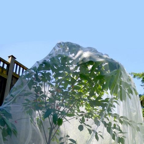Maille de Filet de Barrière D'oiseau, Couverture de Filet de Plante D'insecte de Jardin pour Protéger la Fleur de Fruits de Plante (5) (1/5)
