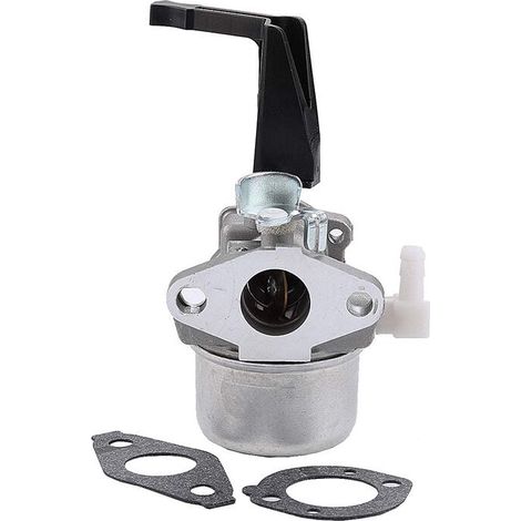 Vergaser mit Montagedichtung für Briggs & Stratton 696065 (1/4)