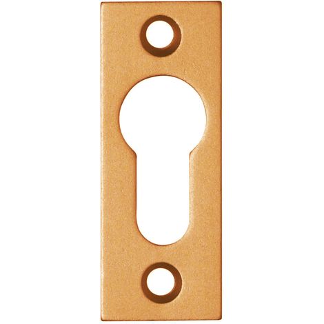 Entrée de cylindre METALUX 4813 Aluminium bronze 65 x 25 x 3 mm