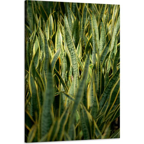 Stampa su tela "Botanica - Erba verde" 60x90 cm