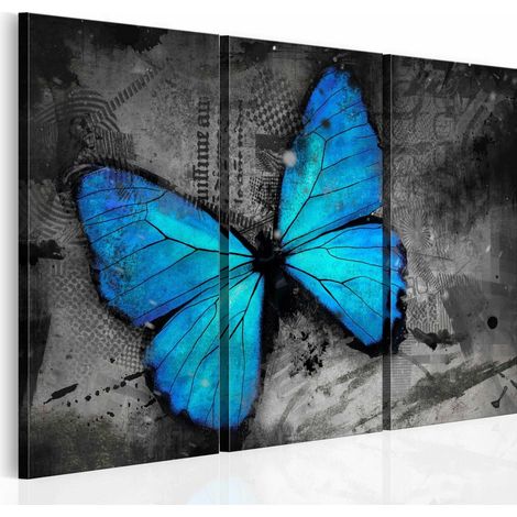 Tableau etude d'un papillon - 120 x 80 cm (1/4)
