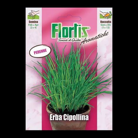ERBA CIPOLLINA (1/2)