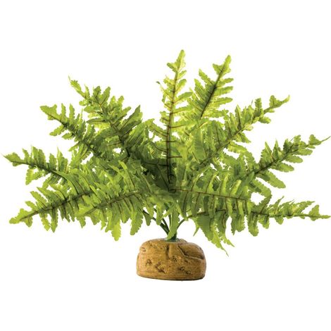 Pianta artificiale exo-terra boston fern facile da pulire realistica