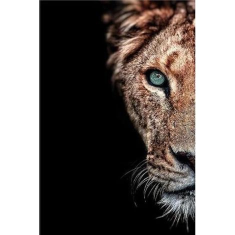 Impression sur Toile Africain Et Lionne Famille Art Mural 2 Pièces Affiches Animaux Photos pour Salon Décor 60x80x2Pcs sans Cadre (1/4)