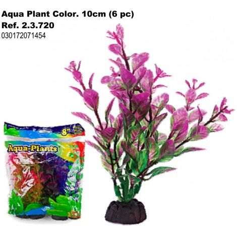PLANTA AQUA COLOR 10cm. 6 piezas