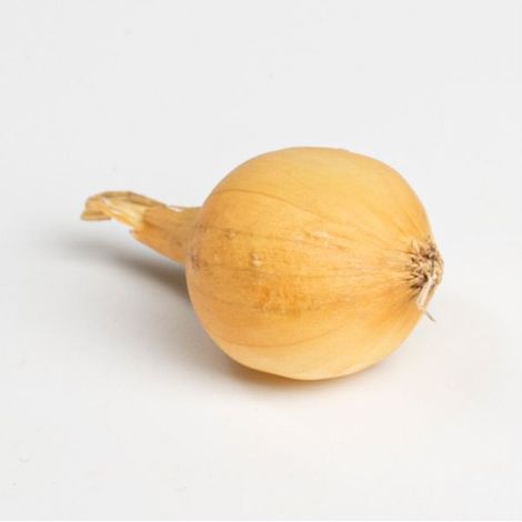 Jaune paille des vertus Bulbes d'Oignons a repiquer 500gr (1/2)