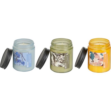 Conjunto de 3 velas perfumadas 100% cera de soja mecha de algodón vidrio fragancia floral fresca bergamota/vainilla/geranio lavanda flor frutal FRUITY BLOOM