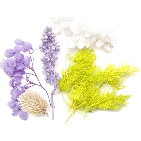 Fiori decorativi secchi lilla e bianchi