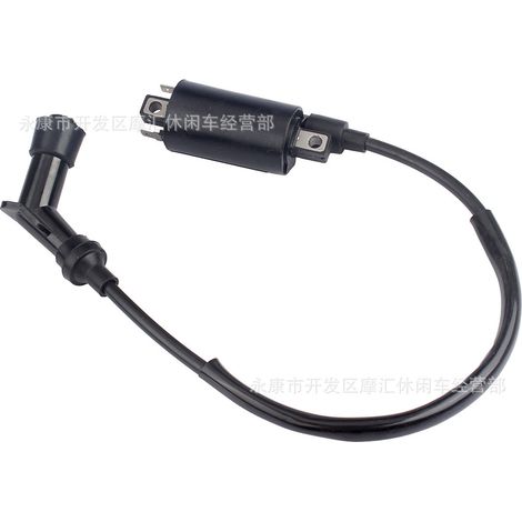 Suitable for Yamaha YP250 Majesty MBK Mongoose MXU250 high voltage coil ignition coil (1/5)