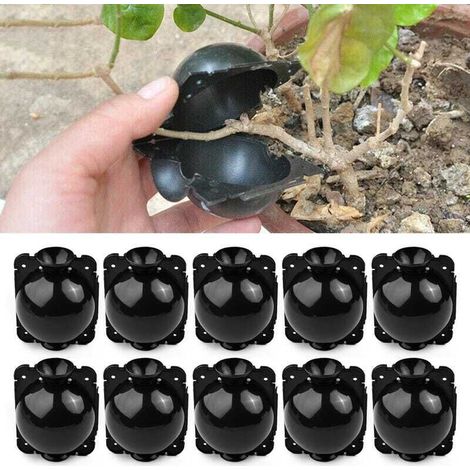 10 boules d'enracinement pour plantes - Boîte de greffe de jardin - Boîte d'enracinement pour semis - Boules de semis - 5 cm, Noir
