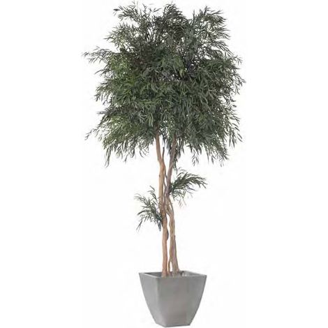 Pianta stabilizzata Nicolay H130cm (NO acqua, no Manutenzione) pianta da interno