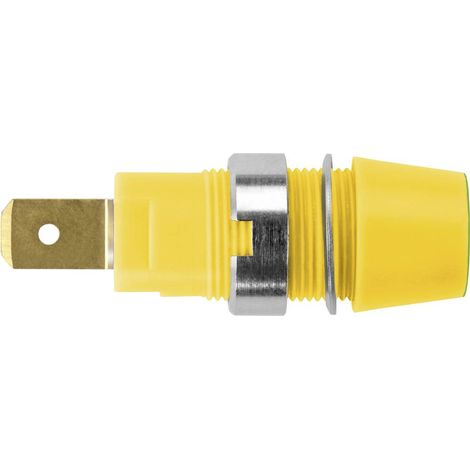 Schützinger Presa di sicurezza montaggio in superficie Verde-Giallo 1 pz.