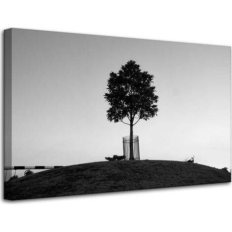 Leinwanddruck Natur Baum Schwarz-Weiß 80x50