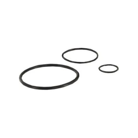 20 O-ring per DL300S - DL400S
