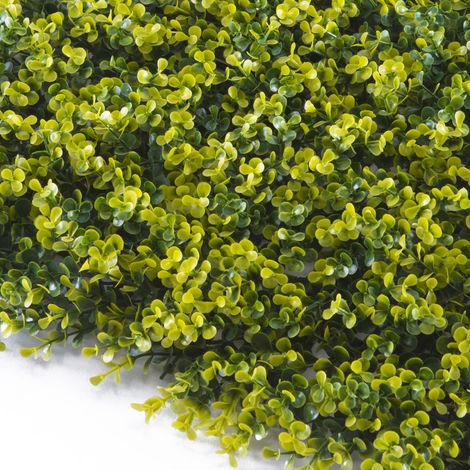 TENAX Divy Panel Buxus 100x100 cm Verde, Pannello Modulare con Foglie Artificiali 3D tipo Bosso per Pareti, Giardini Verticali e Decorazioni Indoor/Outdoor (1/5)