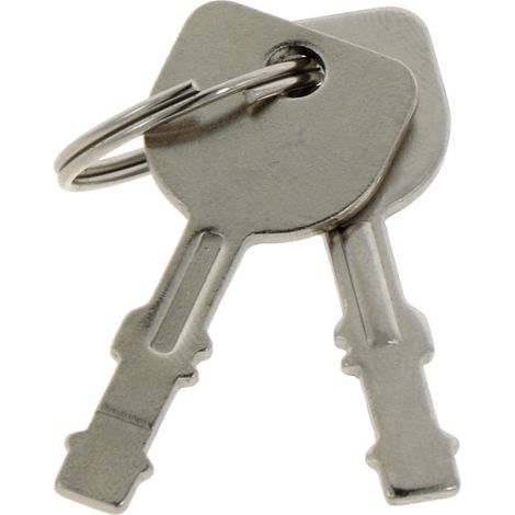 Chiave di accensione, 2 pezzi, per trattore, codice 725-2054A 925-2054A 7252054