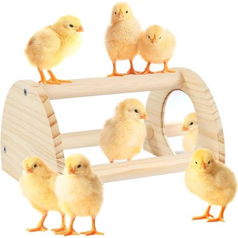 Perchoir à poules en bois de pin avec miroir, robuste et durable, adapté aux poussins et aux grands oiseaux. (1/5)