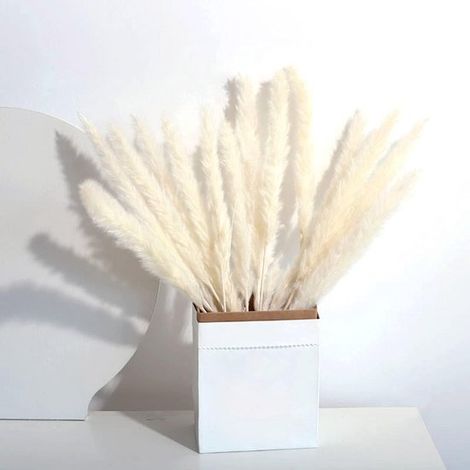 30 brins de pampa séchés naturels, 43 cm, bouquet de roseaux séchés, décoration bohème pour salon, chambre, cuisine, mariage, DIY, bureau, vase, table, photographie (Blanc) (1/3)