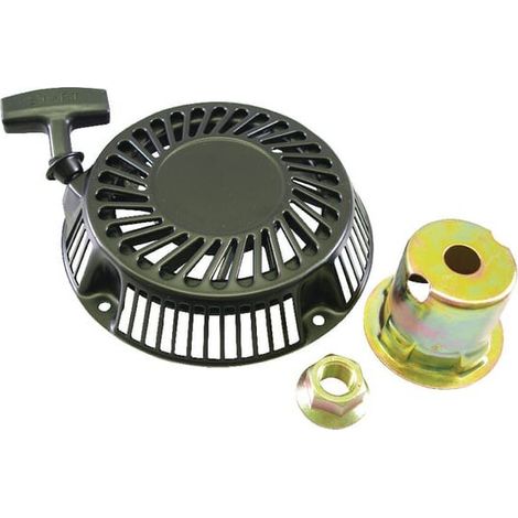 Briggs und Stratton-Werfer 808153 (1/2)