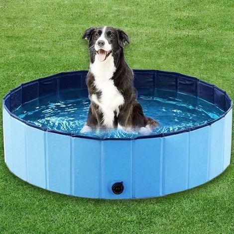 Bañera para perros Piscina plegable Piscina Piscina para perros Bañera Ø 160 cm x H 30 cm (1/4)