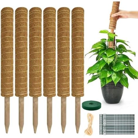 Tuteur Plante Monstera - Extensible Droit 4 Tiges 42cm Long Up to 133cm Mousse pour Plantes for Interieur Support Plant Grimpantes Fibre De Coco 6 pack (1/5)