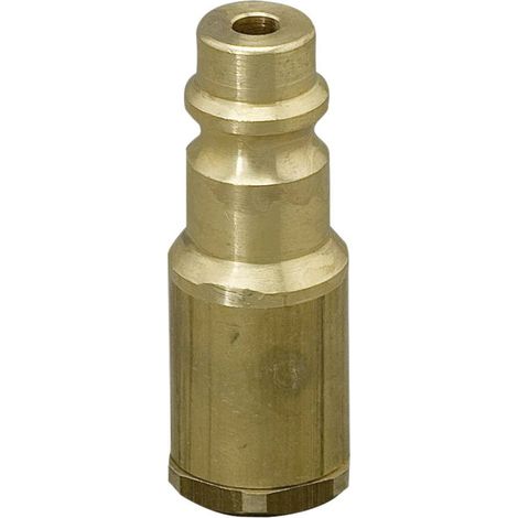 Adaptateur pour le remplissage du réseau d'air comprimé (1/4)