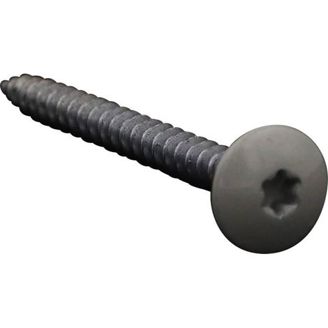 Vis Penture 4.5X50 Filetage total TORX T20 Acier zingué LAQ RAL7044-1 pièce