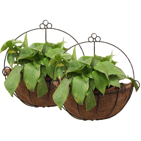 Filiyano-Lot de 2 jardinières murales en métal avec doublure en fibre de coco - idéales pour les plantes d'intérieur ou d'extérieur (1/5)