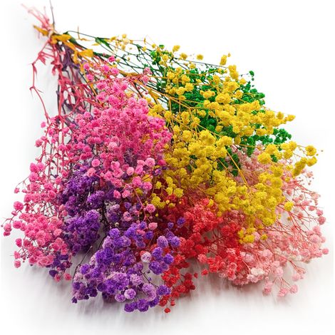 Gypsophila stabilizzata - (Gypsophila) - Royal Bouquet - Mix di colori